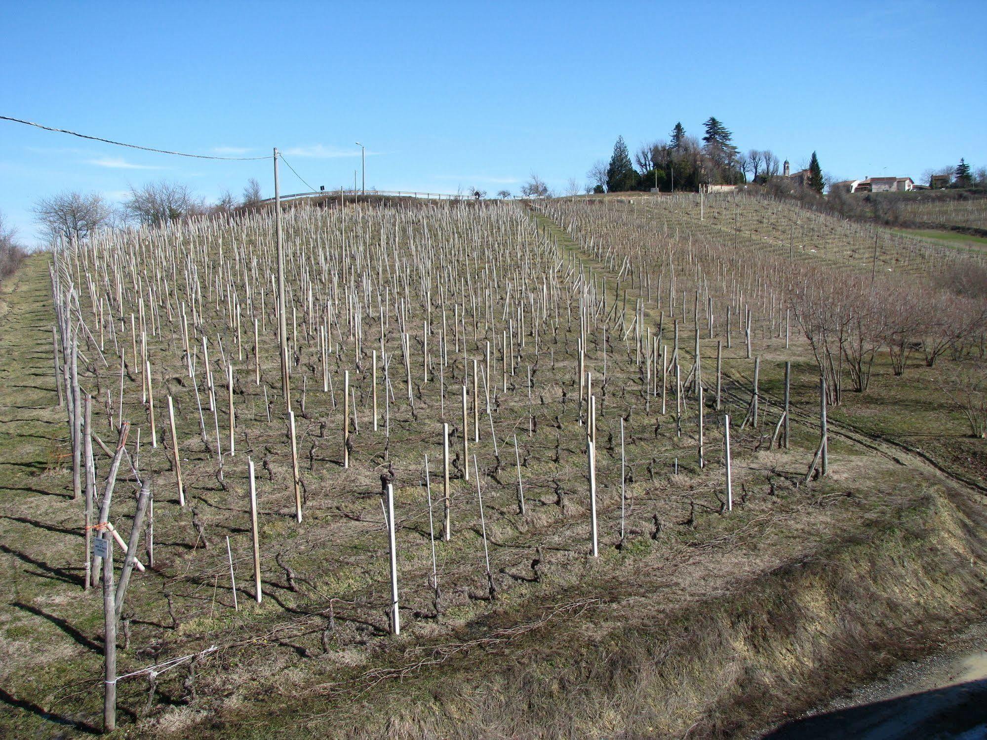 Agriturismo San Martino Clavesana ภายนอก รูปภาพ